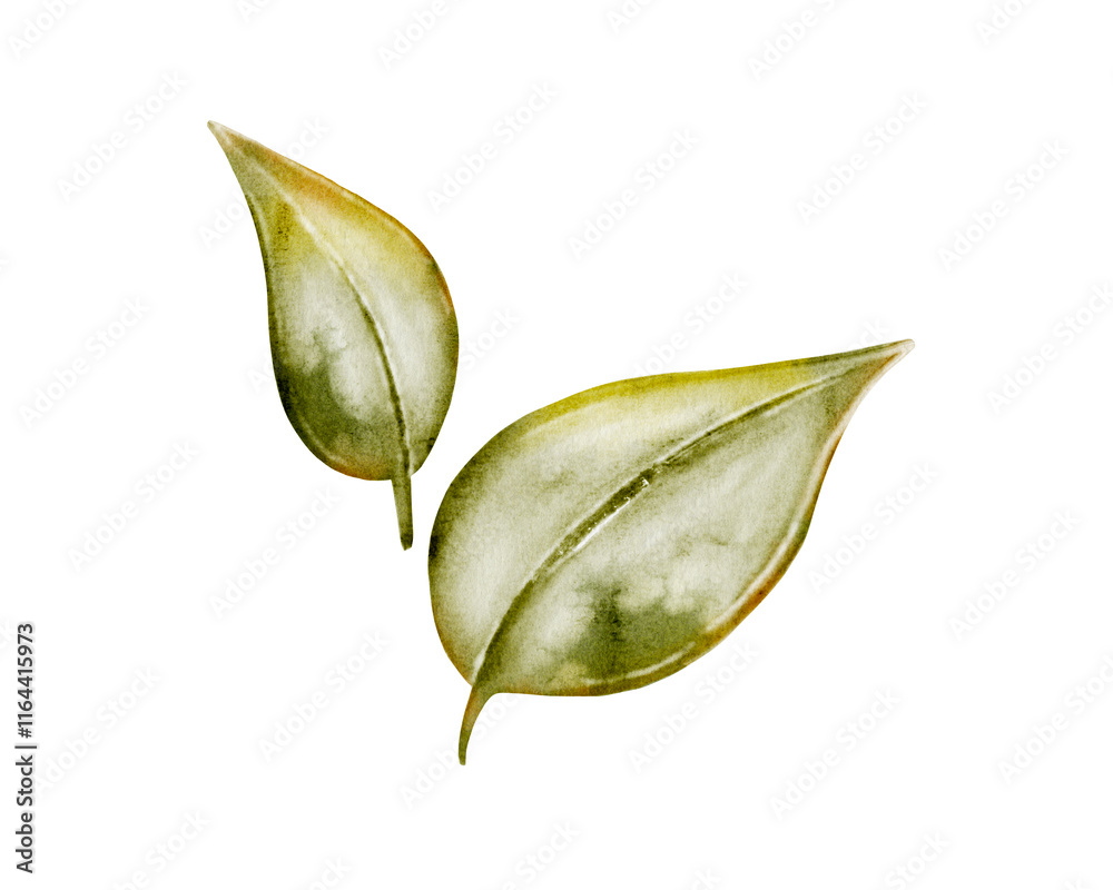 Obraz premium Watercolor leaves pattern perfect for retro garden textile designs
