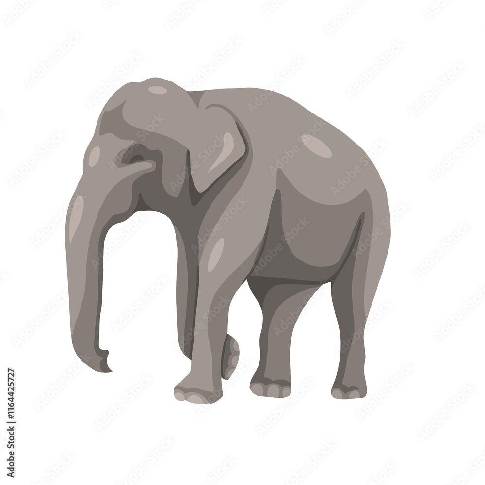 Fototapeta premium Elephant