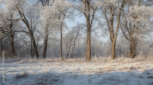 Wallpaper Mural Winter landscape with frosted trees in a snow covered field under bright sunlight showcasing nature's serene beauty and tranquility Torontodigital.ca