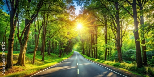 Asphalt road winding through a lush green forest bathed in sunlight, a scenic summer drive