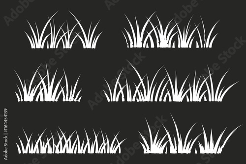 White Grass silhouette on chalk board background.  Vector illustration. 