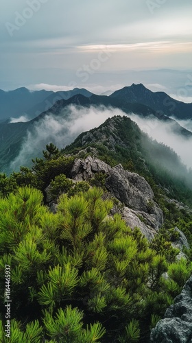 Majestic mountain landscape with lush greenery and misty clouds at dawn