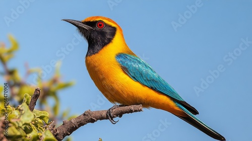 Colorful bird perched on a branch in a clear blue sky during a sunny day