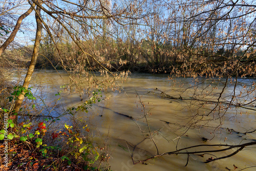 Loing river bank in the Sorques plain sensitive natural area photo