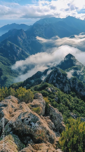 Majestic mountain landscape with lush greenery and misty clouds at dawn