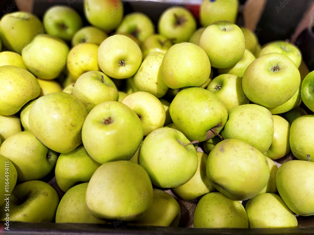 Freshly harvested green apples in a wooden crate at a local farm market during autumn Freshly harvested green apples in a wooden crate at a local farm market during autumn