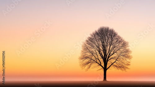 The lonely, A solitary leafless tree stands prominently in a barren landscape, captured in a digital image that evokes themes of isolation and resilience. photo