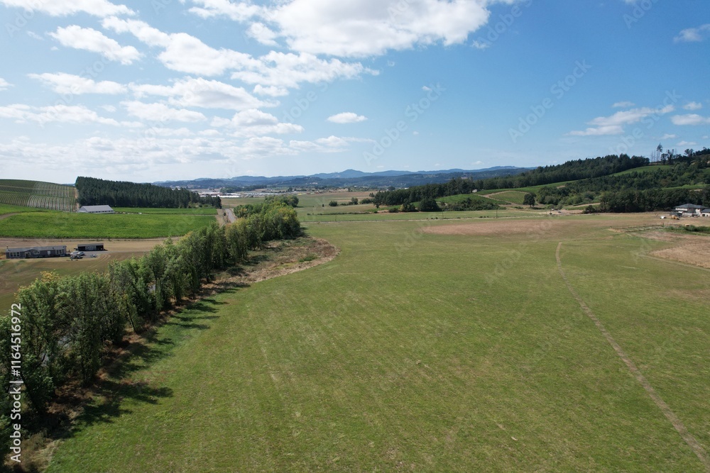 Obraz premium default