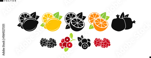 Fruit with berries vector. Isolated orange fruit lemon pomegranate raspberry blackberry blueberry and cranberry 