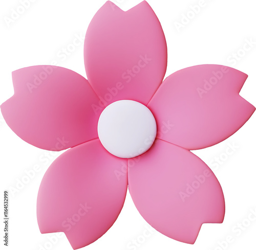 Cherry blossom, Sakura flowers isolated