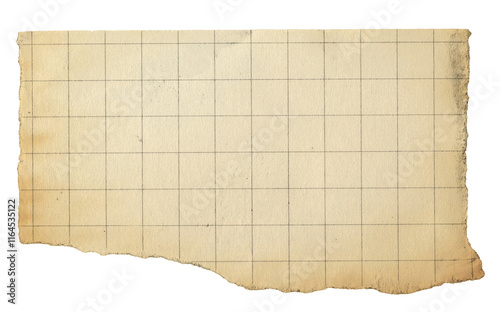 torn paper vintage note grid memo brown paper