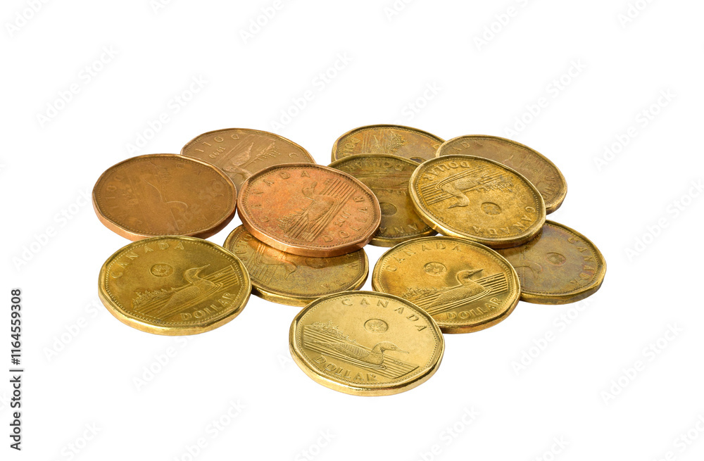 A group of one dollar Canadian loonies coins isolated cutout on transparent A group of one dollar Canadian loonies coins isolated cutout on transparent