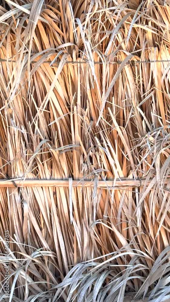 Palm leaves create rustic barrier blending natural aesthetics with functionality. Palm leaves reflect traditional design, providing eco-friendly solutions for outdoor spaces