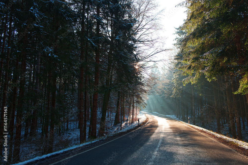 Sunrays on the forest and the road in the winter Sunrays on the forest and the road in the winter