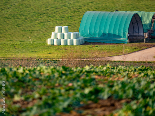 Tierfutter Depot auf einem Feld photo