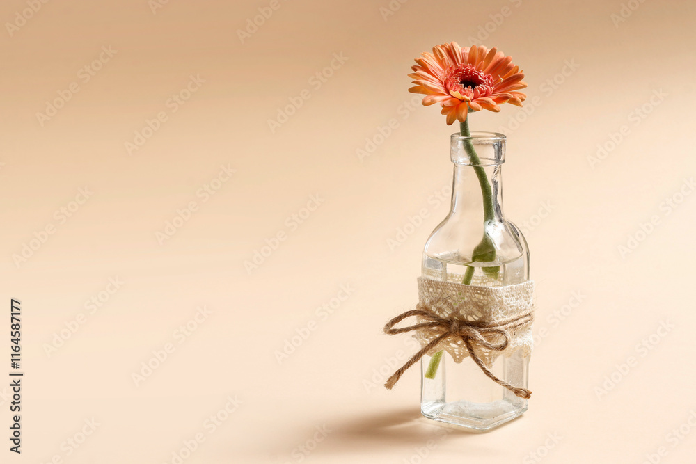 Simple decoration with gerbera flower in glass bottle.