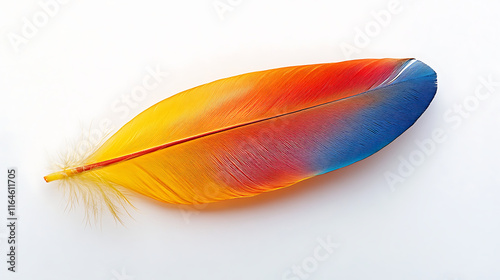 Colorful bird feather against a clean white background, highlighting intricate details and bright colors, ideal for nature photography and design projects photo