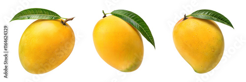 Fresh Ripe Mangoes with Leaves - Three ripe yellow mangoes with green leaves, isolated on a white background, showcasing tropical fruit freshness and vibrancy.
