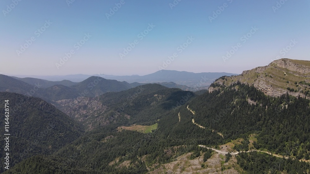 Fototapeta premium Aerial Drone Mountian Forest