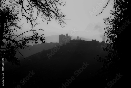vineyard landscapes with the castle of granzane cavour in the langhe of piedmont in autumn, near alba