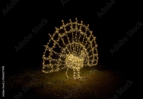 View of the Christmas decoration with lights in Svetla nad Sazavou - peacock photo