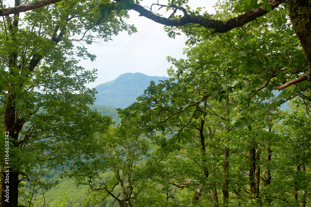 Picturesque mountain valley on a sunny summer day. Picturesque mountain valley on a sunny summer day.