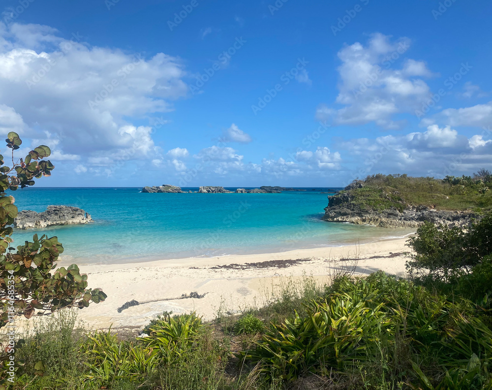 Tropical Beach Framed with Lush Foliage and Clear Blue Water Tropical Beach Framed with Lush Foliage and Clear Blue Water