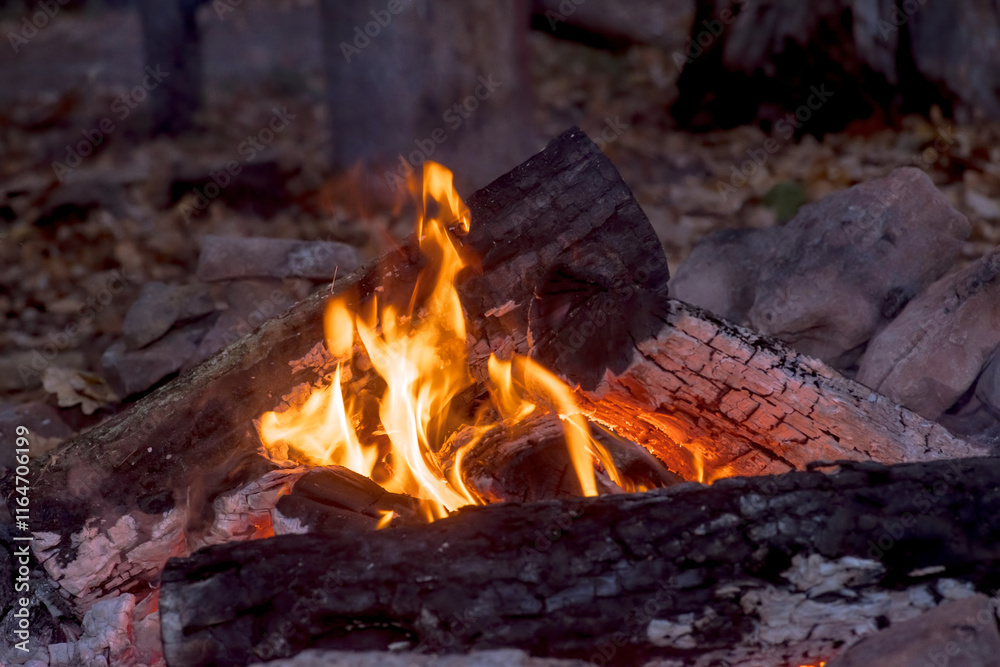 Fototapeta premium Płonące polana w ognisku w lesie w miejscu piknikowym. Obóz turystyczny, integracja terenowa w lesie i wzmacnianie więzi interpersonalnych na łonie natury.