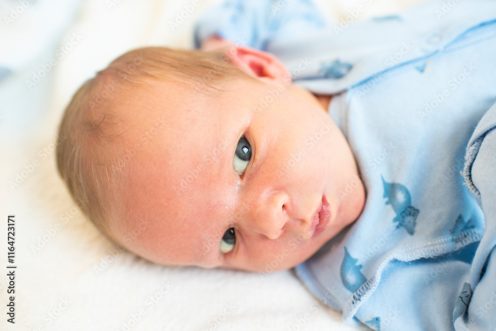 Portrait of a newborn boy. 14 days old.