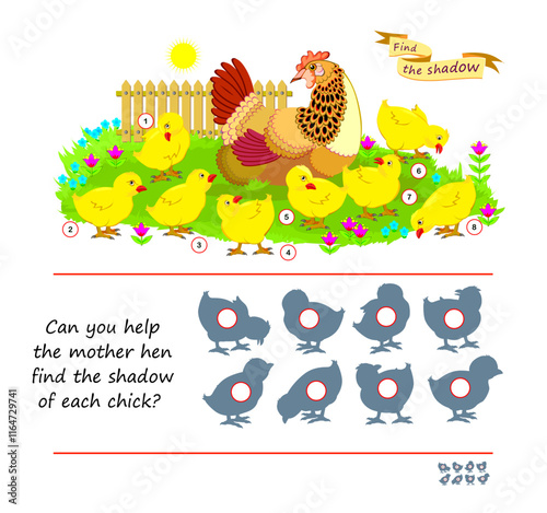 Best puzzles for kids. Can you help the mother hen find the shadow of each chick? Write the numbers in circles. Educational game for children. Task for attentiveness. Flat vector illustration.
