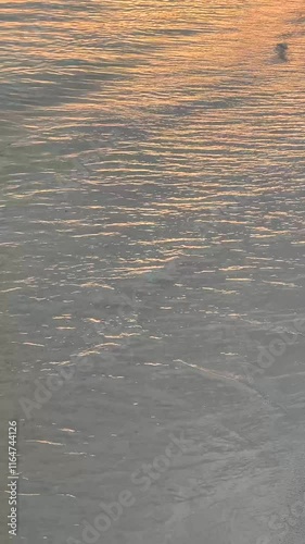 Calm sea waves with reflection of golden sunset along a serene beach