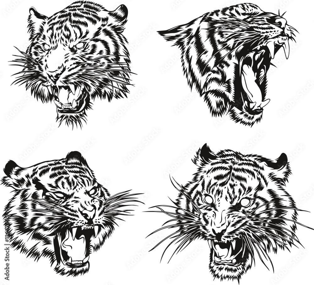 Obraz premium Tiger Head Hand Draw Vector