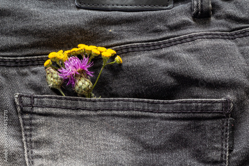 field flowers, chamomile, tansy and others on a denim background