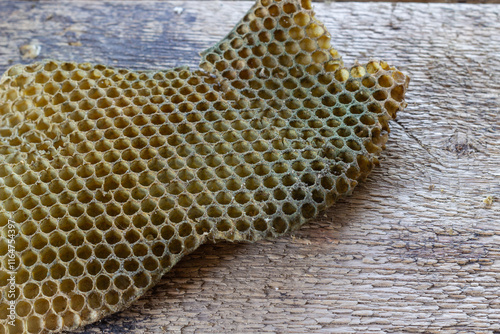 formation of mold on the combs, mold in the hive, bad wax