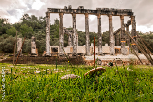 A beautifully preserved temple of Zeus photo