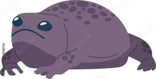 Abdominous exotic frog amphibian animal