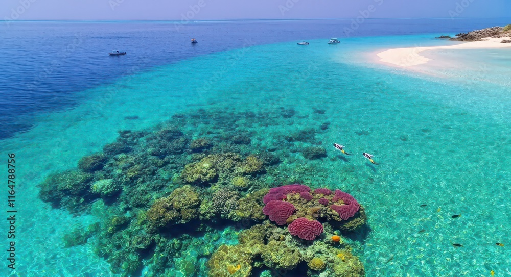 Naklejka premium Aerial View of Stunning Coral Reefs .