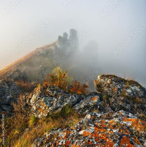 Beautiful autumn landscape at sunrise. picturesque river canyon. nature of Ukraine