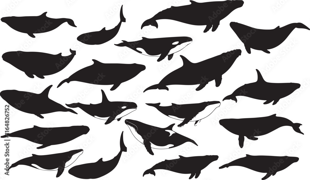 Fototapeta premium Blue Wheel Silhouette