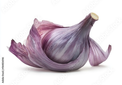 Wallpaper Mural Single bulb of purple garlic with outer skin partially removed, isolated on white. Torontodigital.ca