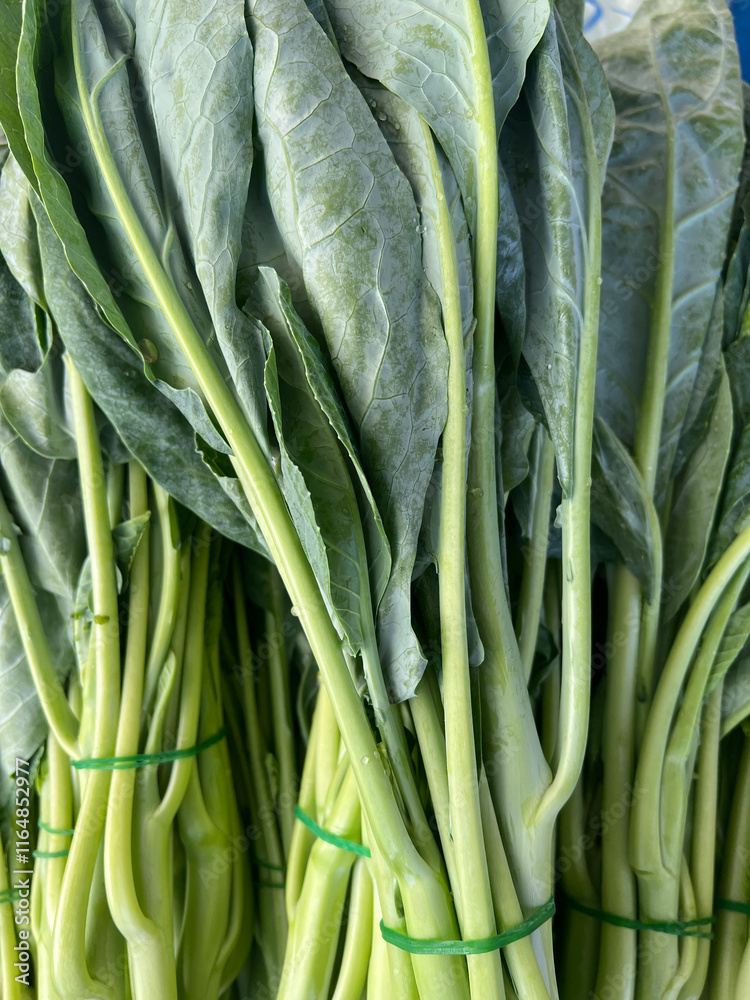 close up view of Collard in market close up view of Collard in market