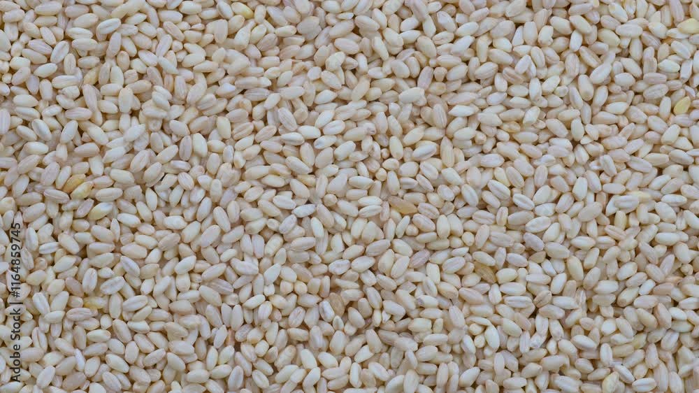 Top down view. Heap of raw uncooked wheat grains. Slider shot. Texture of grains. Cooking, whole grains, traditional cuisine, food-related themes. 4k Top down view. Heap of raw uncooked wheat grains. Slider shot. Texture of grains. Cooking, whole grains, traditional cuisine, food-related themes. 4k