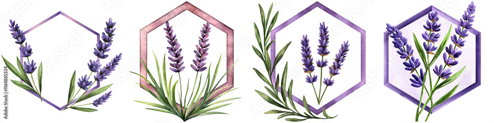 Naklejka premium Watercolor lavender design and flower logo, A series of hexagonal designs featuring lavender flowers and leaves, showcasing their vibrant purple hues and botanical elegance.