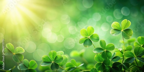 Vibrant Green Clover Leaves Basking in Sunlight's Embrace