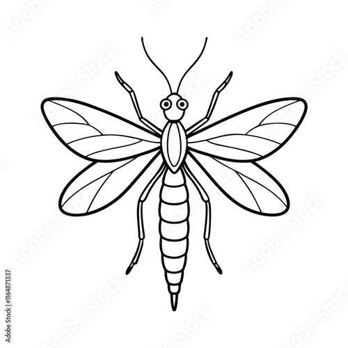 Mayfly (Ephemeroptera) insect silhouette design, labeled line art vector illustration.