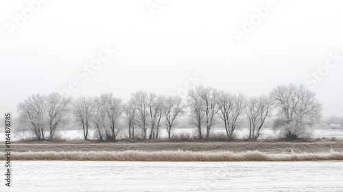 Wallpaper Mural Frosty Trees Line A Winter Field Landscape Torontodigital.ca