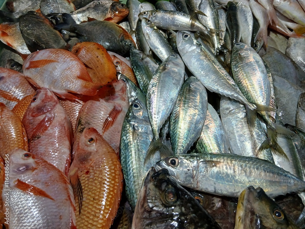 Assorted Fresh Fish Display at Seafood Market Assorted Fresh Fish Display at Seafood Market