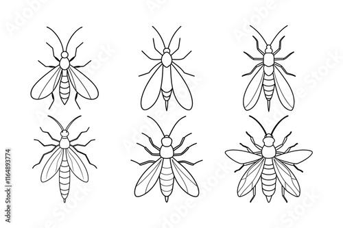 Dobsonfly (Corydalidae) insect design, labeled line art vector illustration. photo