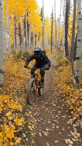 Mountain Biker Rides Through Golden Aspen Forest