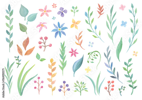 透明感のある水彩手描きの植物セット